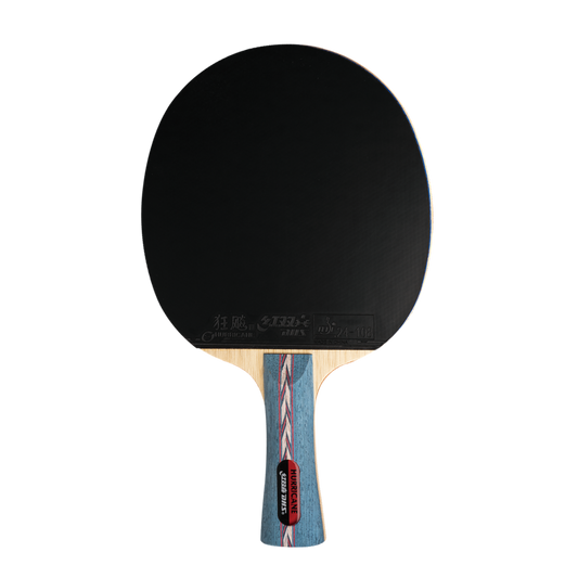 DHS Hurricane NO. Table Tennis Racket