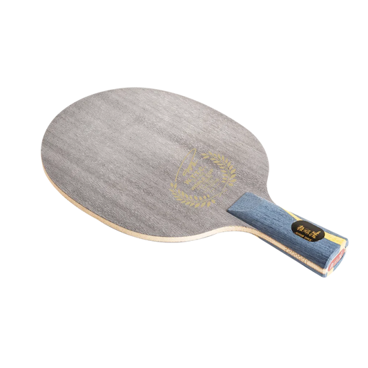 DHS Wang Hao Signature Table Tennis Set