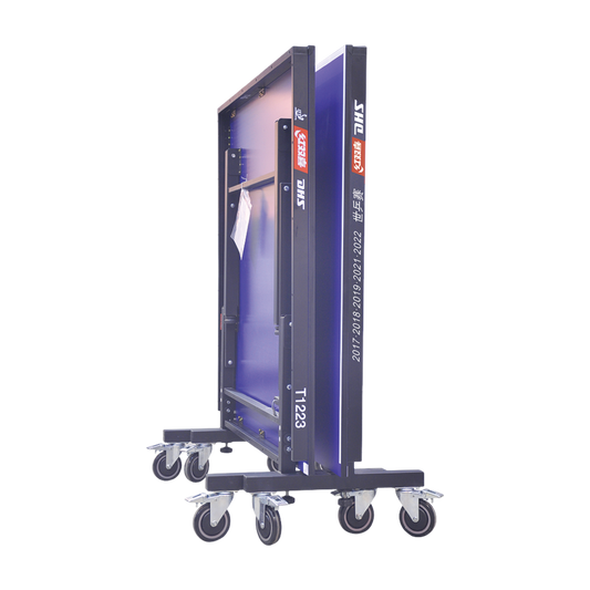 DHS T1223 Professional Two Piece Folding Table Tennis Table 25MM