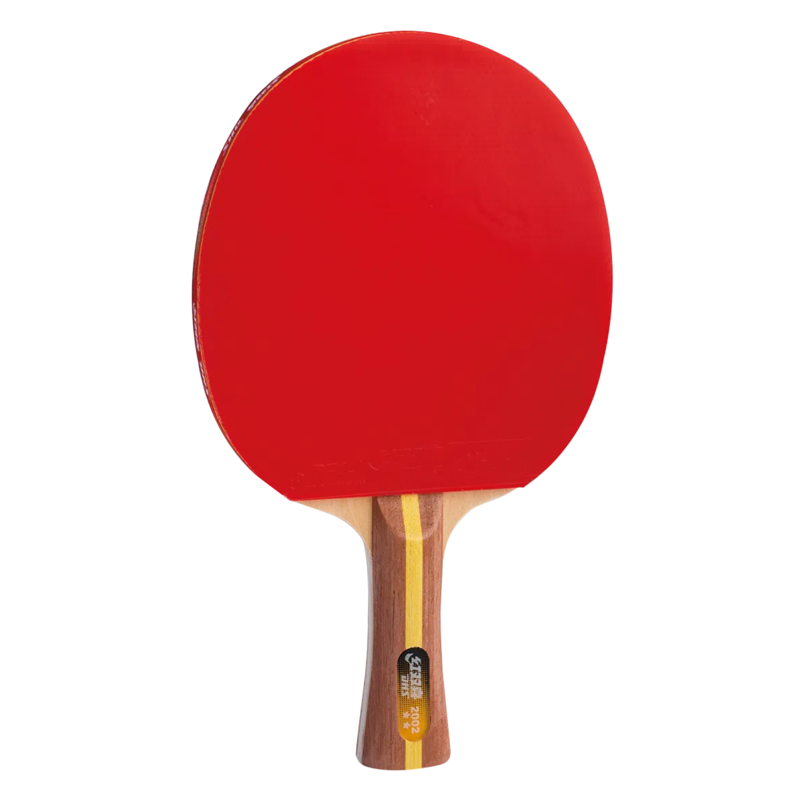 Recreation Rackets – DHS Sports USA