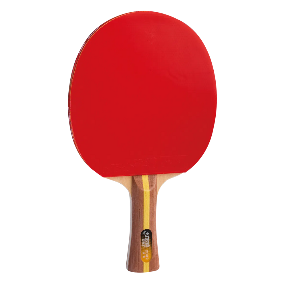 Dhs 1018 Racket Set Table Tennis Rackets – DHS Sports USA