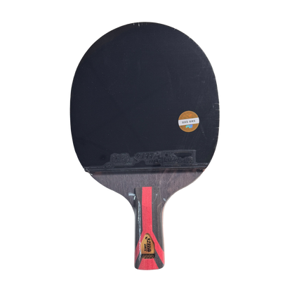 DHS 8 Star Table Tennis Racket