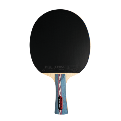 DHS Hurricane NO. Table Tennis Racket