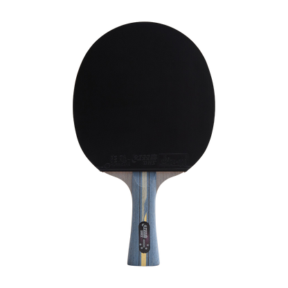 DHS 4 Star Carbon Fiber Table Tennis Racket