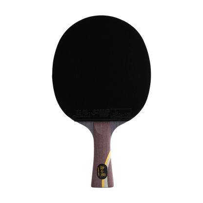 DHS Ma Long Classic Series Table Tennis Racket Set