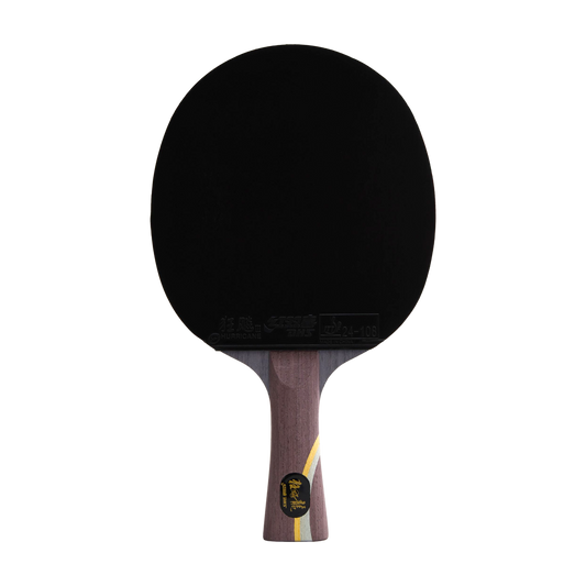 DHS Ma Long Classic Series Table Tennis Racket Set