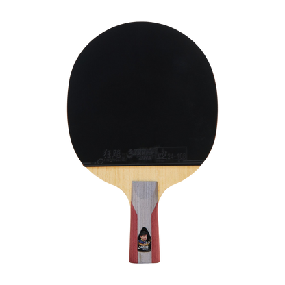 DHS 5 Star Table Tennis Racket