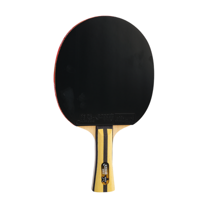 DHS 4 Star Table Tennis Racket