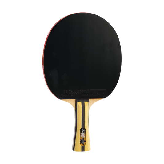 DHS 4 Star Table Tennis Racket