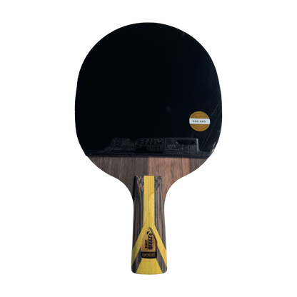 DHS 9 Star Table Tennis Racket