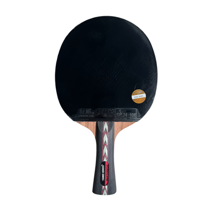 DHS Hurricane NO. Table Tennis Racket Set