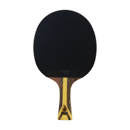 DHS 9 Star Table Tennis Racket