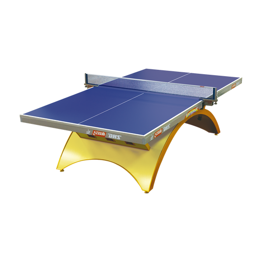 DHS Golden Rainbow 2 Tournament Table Tennis Table 25MM
