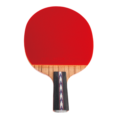 DHS Hurricane NO. Table Tennis Racket
