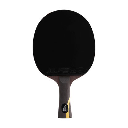 DHS Wang Liqin Classic Series Table Tennis Racket Set