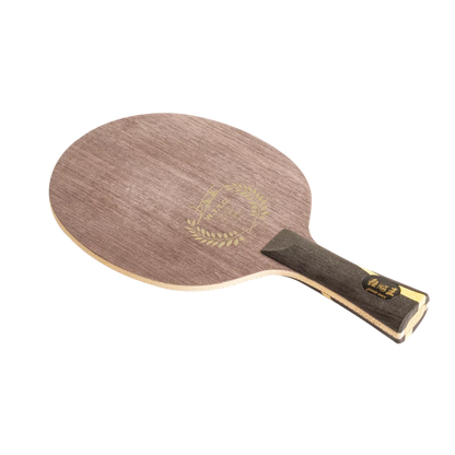 DHS Wang Liqin Signature Table Tennis Set