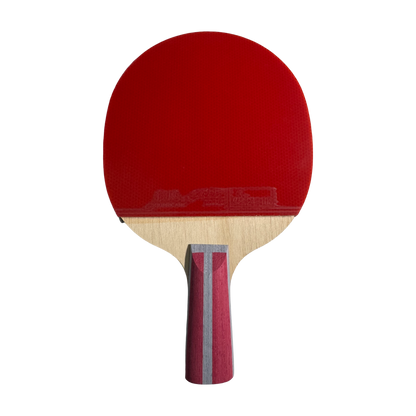 DHS 4 Star Table Tennis Racket