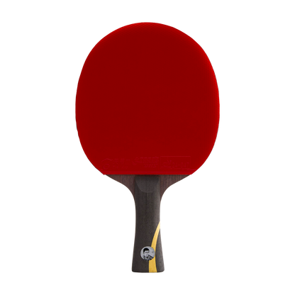 DHS Wang Liqin Classic Series Table Tennis Racket Set