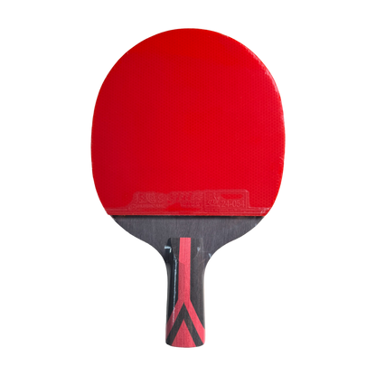 DHS 8 Star Table Tennis Racket