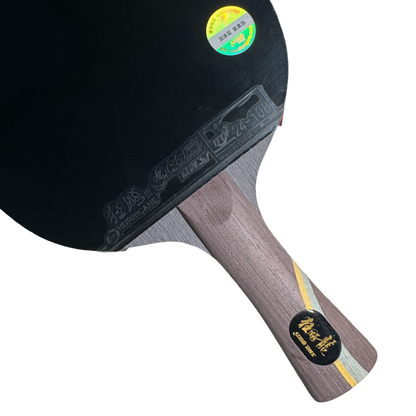 DHS Ma Long Classic Series Table Tennis Racket Set
