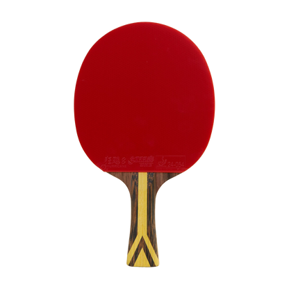DHS 9 Star Table Tennis Racket