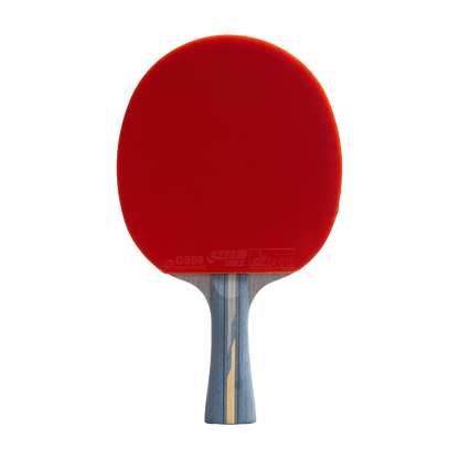DHS 4 Star Carbon Fiber Table Tennis Racket