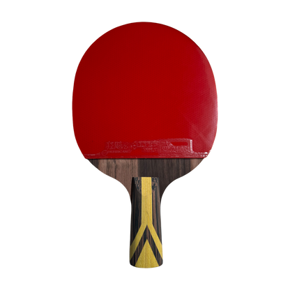 DHS 9 Star Table Tennis Racket