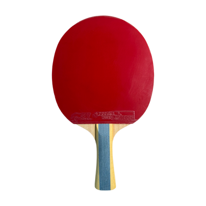 DHS 6 Star Table Tennis Racket