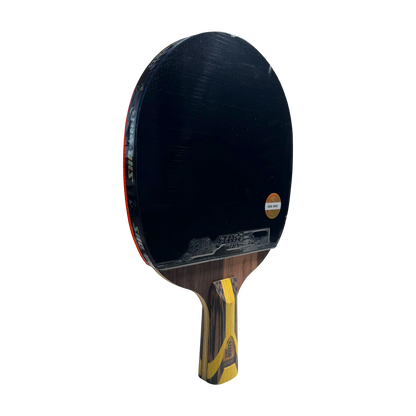 DHS 9 Star Table Tennis Racket