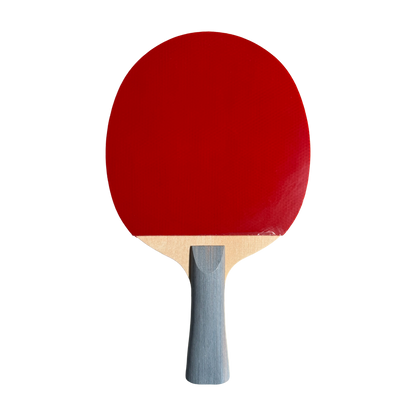 DHS Type III Table Tennis Racket Set