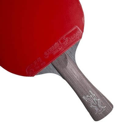 DHS Ma Long Classic Series Table Tennis Racket Set