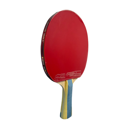 DHS 6 Star Table Tennis Racket