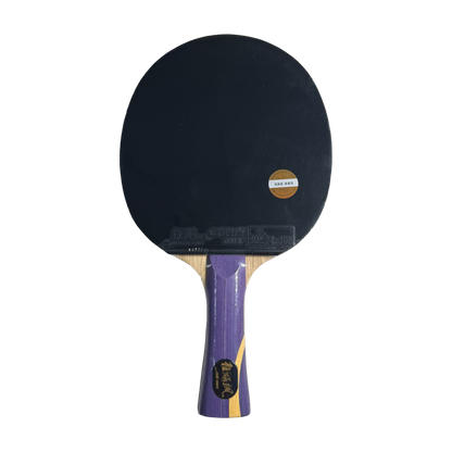 DHS Sun Yingsha Classic Series Table Tennis Racket Set
