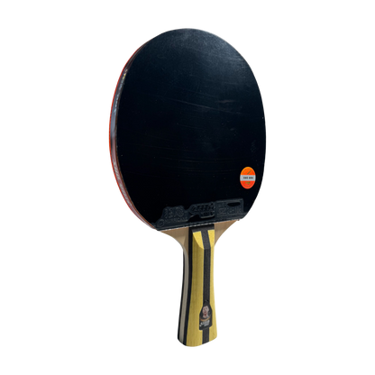DHS 4 Star Table Tennis Racket