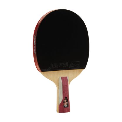 DHS 6 Star Table Tennis Racket