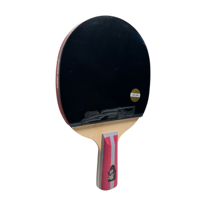 DHS 4 Star Table Tennis Racket