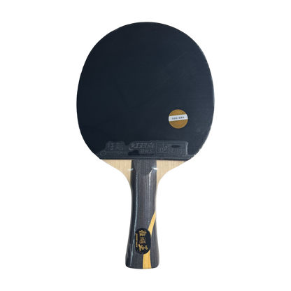 DHS Wang Chuqin Classic Series Table Tennis Racket Set