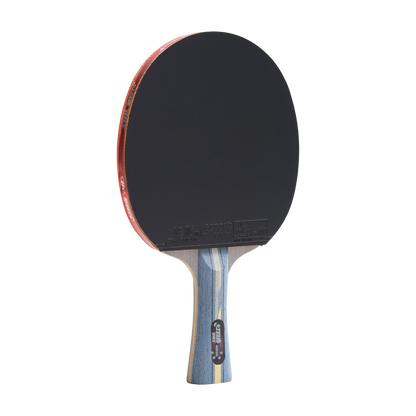DHS 4 Star Carbon Fiber Table Tennis Racket