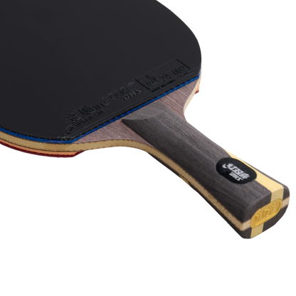 DHS Wang Liqin Classic Series Table Tennis Racket Set