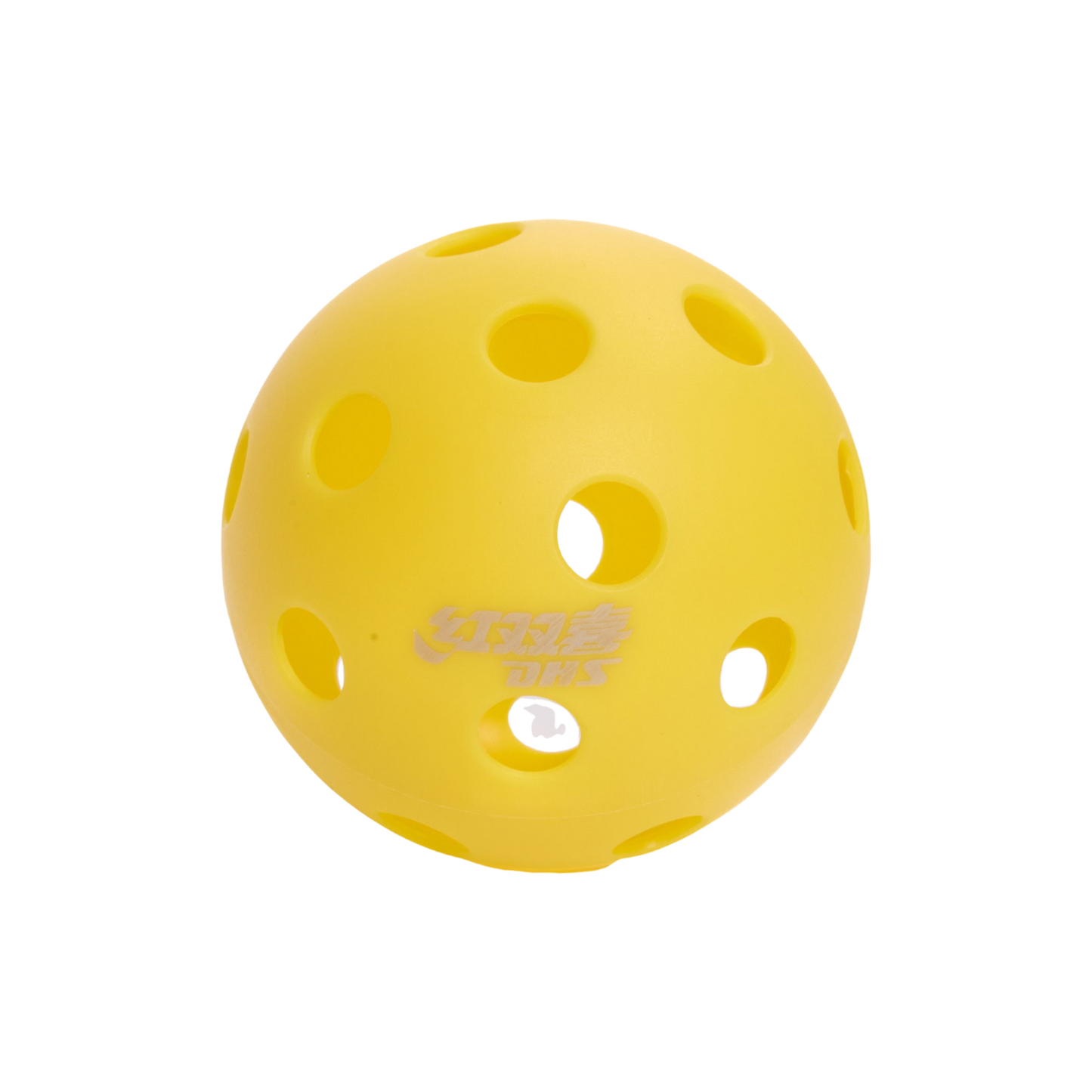 DHS Recreational Pickleballs 26 Holes
