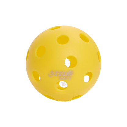 DHS Recreational Pickleballs 26 Holes