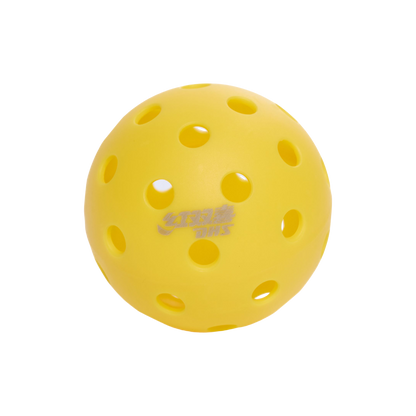 DHS Recreational Pickleballs 40 Holes