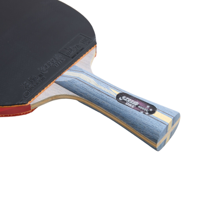 DHS 4 Star Carbon Fiber Table Tennis Racket