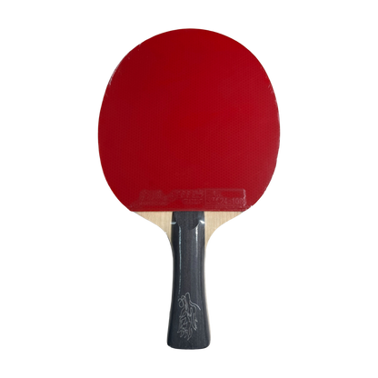 DHS Wang Chuqin Classic Series Table Tennis Racket Set