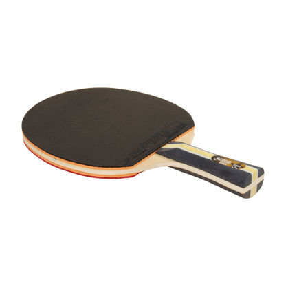 DHS 3 Star Table Tennis Racket