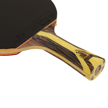 DHS 9 Star Table Tennis Racket