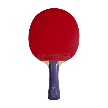 DHS Sun Yingsha Classic Series Table Tennis Racket Set