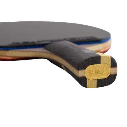 DHS Wang Liqin Classic Series Table Tennis Racket Set