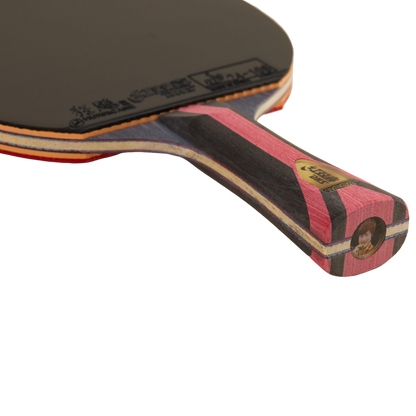 DHS 8 Star Table Tennis Racket