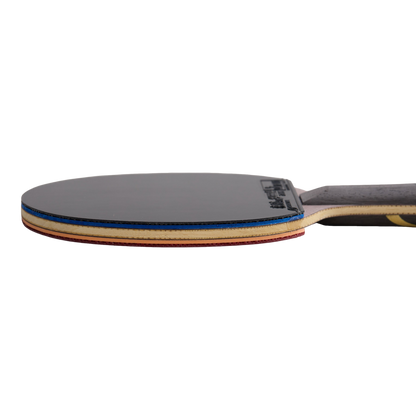 DHS Wang Liqin Classic Series Table Tennis Racket Set